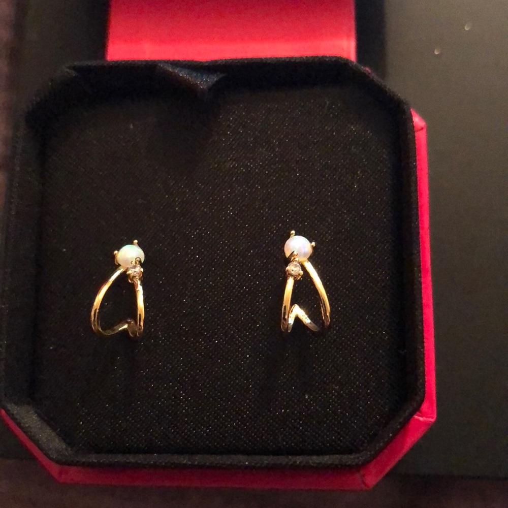 Tiny teardrop earrings